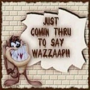 Meet your Posher, Donald